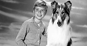 The 'Lassie' Cast, Then and Now | Woman's World