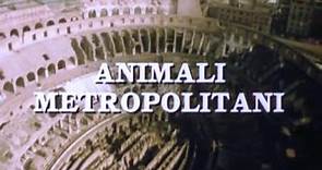 "Animali metropolitani" sigla
