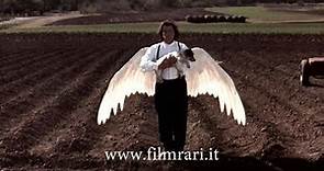 MICHAEL (1996) con John Travolta - DVD Italiano - FilmRari.it