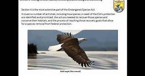 Endangered Species Act 101