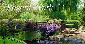 Regent’s Park | Royal Parks, London