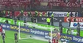 Así gritó la hinchada de América de Cali el gol de Adrián Ramos a Medellín #shorts