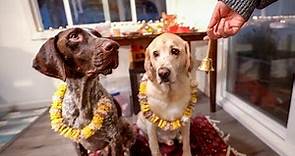 Kukur Tihar | Celebrating the DOG Festival