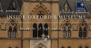 Inside the Oxford University Museum of Natural History