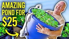 BEST Mini Indoor Pond For Breeding TONS of Fish
