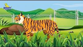 I am a tiger | English Nursery Rhymes | English Kids Songs