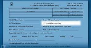 How to Complete the PPP Loan Forgiveness Application Form 3508EZ