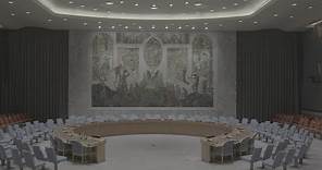 Five countries elected to the UN Security Council