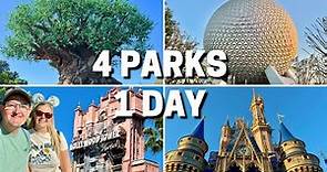Visiting 4 Theme Parks In 1 Day! Park Hopping At Walt Disney World In 2024