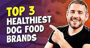 Top 3 Best Healthy Dog Foods Ranked