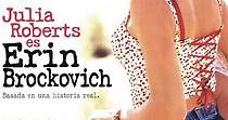 Erin Brockovich: Una mujer audaz - película: Ver online