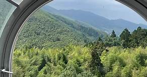 溪頭米堤大飯店擁有唯一竹林和杉木林海景色 群山包圍的山中城堡 #森林 #溪頭 #南投 #台灣旅遊 | 溪頭米堤大飯店