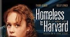 Una indigente en Harvard: la historia de Liz Murray (2003) Online - Película Completa en Español - FULLTV