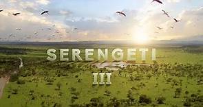 Serengeti III | Official Trailer | BBC Studios