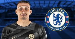 Djordje Petrovic 2023 - Welcome to Chelsea | Best Saves Show | HD