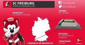 Toda la información que debe saber sobre el Sport-Club Freiburg