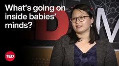 How Babies Think About Danger | Shari Liu | TED