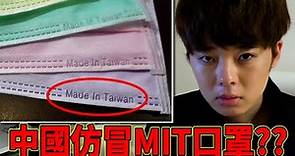 中國仿冒台灣製口罩賣日本？看看日本網購的現況【我不愛台灣】