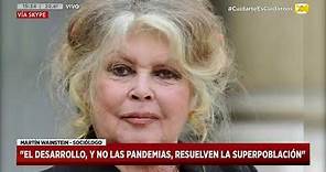 Polémicas declaraciones de Brigitte Bardot sobre el coronavirus en Hoy Nos Toca