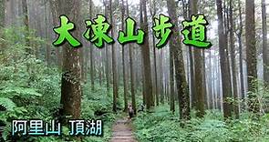 嘉義阿里山頂湖大凍山步道，如何輕鬆走，關鍵叉路很重要，與您分享。