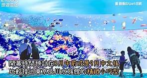 免跑日本！4500坪「Xpark水族館」插旗桃園 今夏正式開幕