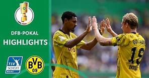 Brilliant Performance by Brandt, Haller and Co. | Schott Mainz vs. Borussia Dortmund 1-6 | DFB-Pokal