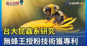台大昆蟲系研究 無蜂王授粉技術獲專利【發現科學】