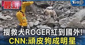 搜救犬ROGER紅到國外! CNN:頑皮狗成明星｜TVBS新聞 @TVBSNEWS01