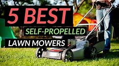 What's the best self propelled lawn mower to buy: 5 best mowers