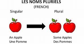 Learn French Plural Nouns for Beginners