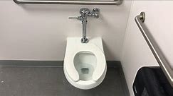 [1042] Wtf! “Mainline” wall-hung flushometer toilet +unknown urinal