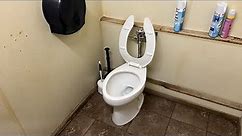 Weak Flushing Kohler Highcliff Ultra Toilet!