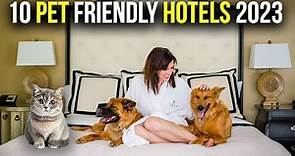 Discover the Ultimate Pet-Friendly Hotels of 2023