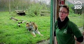 Animal Experiences at Blackpool Zoo