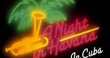 A Night in Havana: Dizzy Gillespie in Cuba (1988) Online - Película Completa en Español - FULLTV