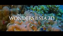 Wonders of the Sea 3D | Kino-Trailer | Deutsch