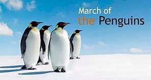 What is the March of the Penguins?
