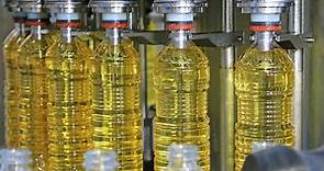 How Sunflower Oil Is Made? | Amazing SUNFLOWER OIL Factory