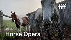 HORSE OPERA Trailer | TIFF 2022
