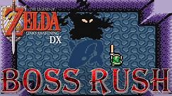 The Legend of Zelda: Link's Awakening - Boss Rush (No Damage)