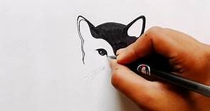 How to Draw a Cat Drawing with a Black & White face Step by step || Cool drawing || #catdrawing