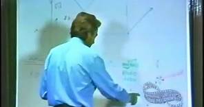 Richard Feynman: Quantum Mechanical View of Reality 2