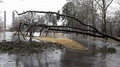 UPDATE: Danville police urge residents to stay home as trees block roadways, outages slice power to traffic lights