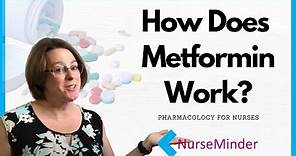 How Does Metformin Work? (Pharmacology for Nurses)