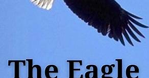 Alfred Lord Tennyson | The Eagle | Poetry Reading