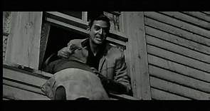 Forty Guns (1957)