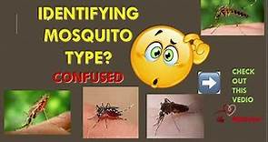 EASY method of Identifying MOSQUITO species types ,life cycle💫, their features||NEETPG||MEDtuber
