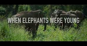 When Elephants Were Young - Trailer 1080p [2016]