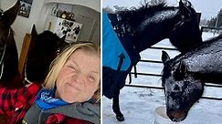 'Hell blizzard' forces Nebraska rancher to bring horses inside home amid -17 temperature