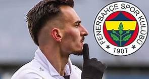 Mergim Berisha ● Welcome to Fenerbahçe ● Goals , Passes , Skills 2020 | HD